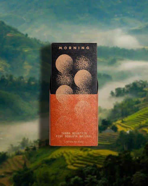 Limited Release Tamba Mountain Fine Robusta