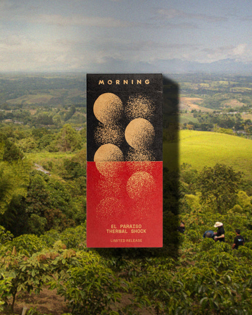 Limited Release El Paraiso Thermal Shock